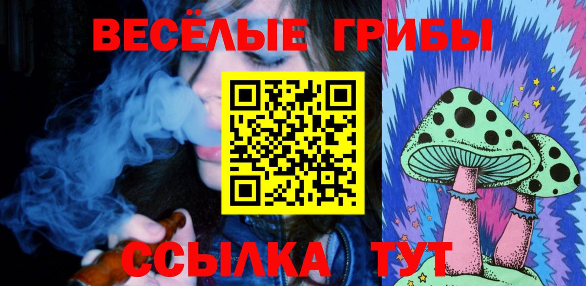 Псилоцибиновые грибы Magic Shrooms  Псилоцибиновые грибы MAGIC MUSHROOMS  Вход с VPN  закладки  Коломна 